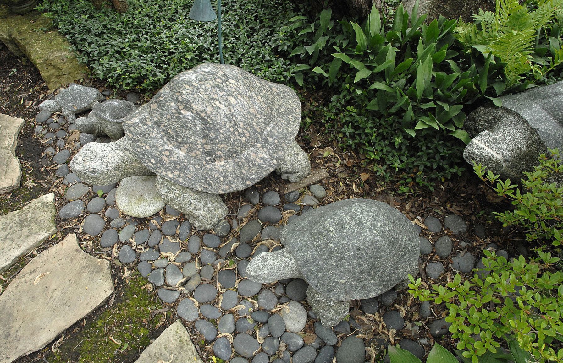 061819-blm-loc-7garden